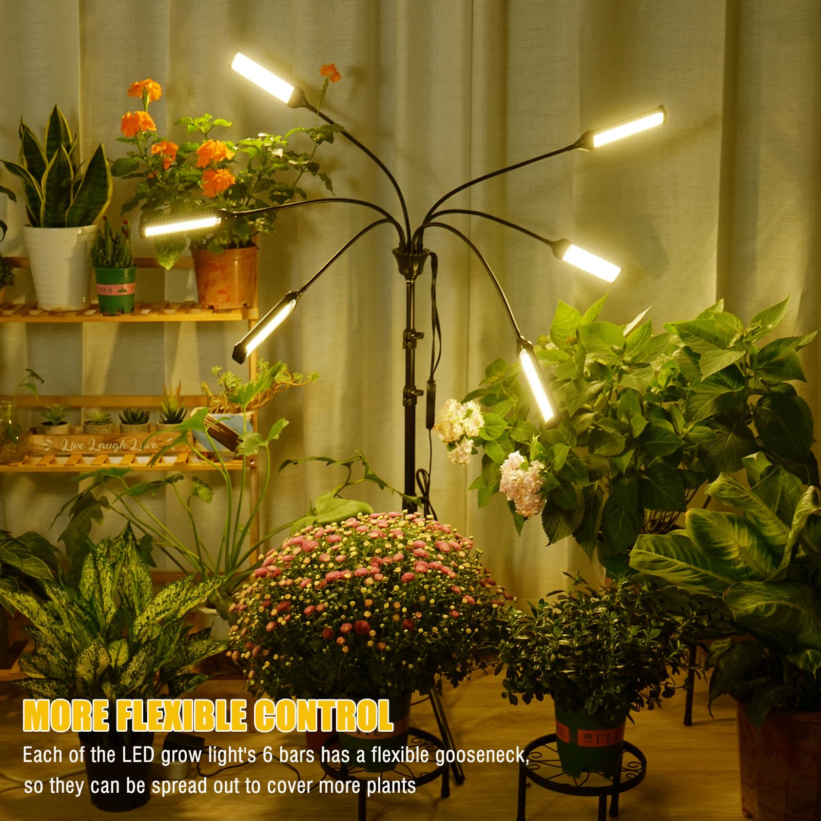 Abriselux auto timer ensures consistent day-night lighting for steady growth.