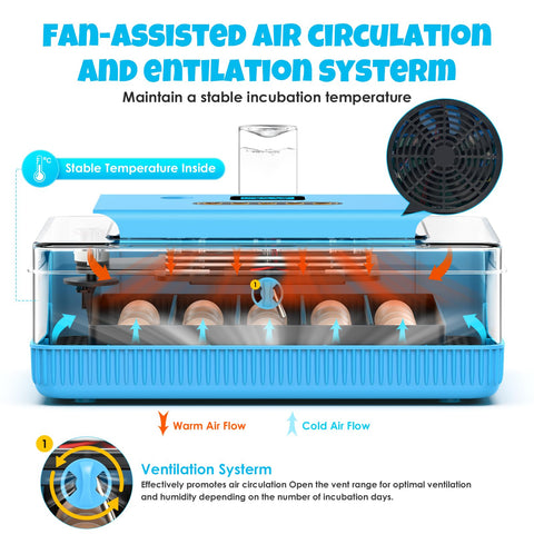 ABTOR automatic egg turning system keeps eggs evenly incubated