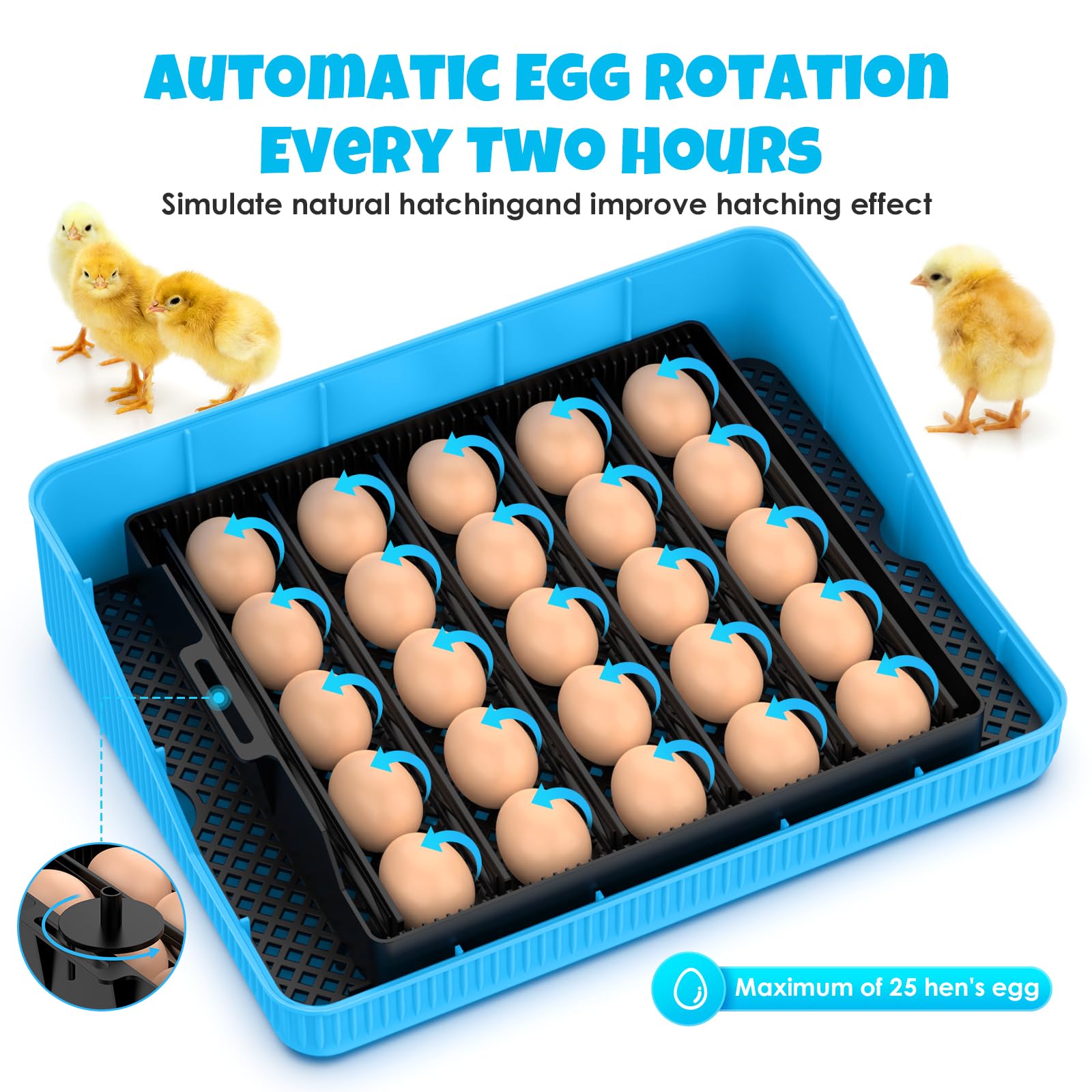 ABTOR high-definition egg candler for observing development safely