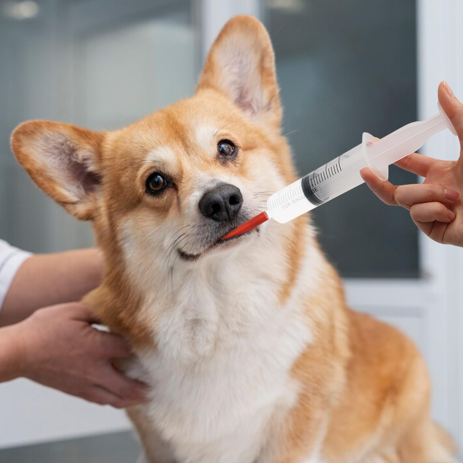 Abustle pig durable plastic syringe designed for long use