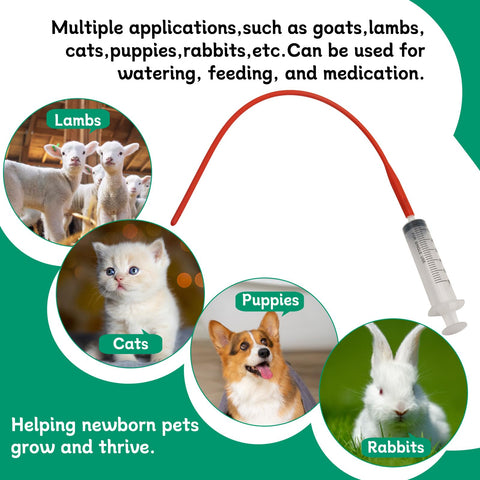 Abustle pig dust-proof cover keeps syringe clean between uses