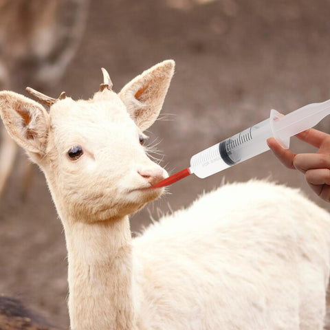 Abustle pig multi-animal feeding kit suitable for lambs and piglets