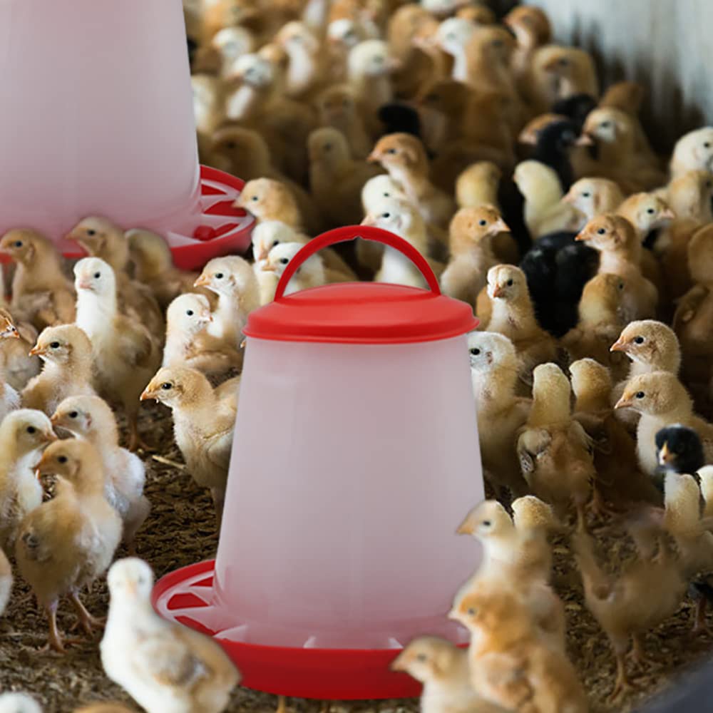 Abustle pig poultry feeder capacity 1.5kg for small flocks