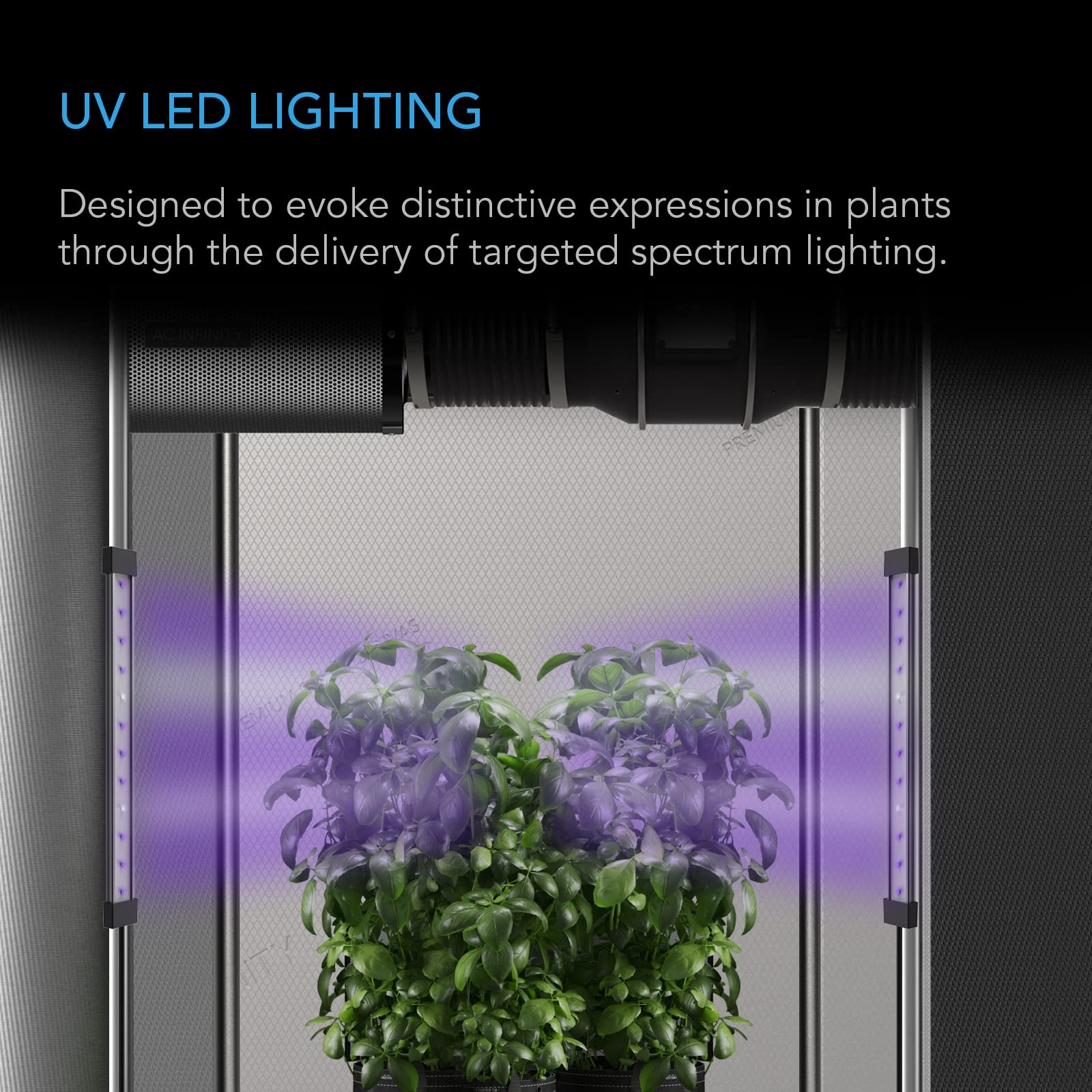 Ionbeam U4 displays digital dimming controller for adjusting UV intensity and schedule.