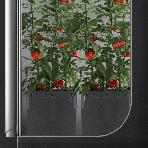 AC Infinity 5-pack in-use setup emphasizes low-stress training for plants.