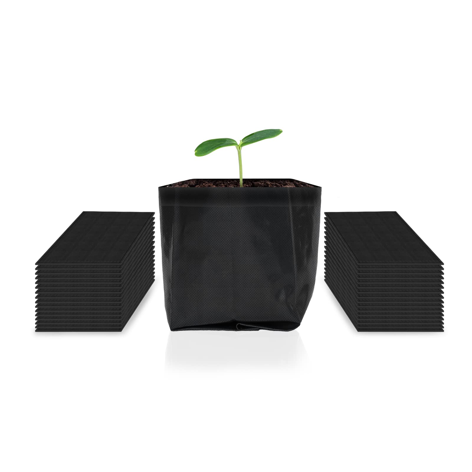 AC Infinity nursery bags seed starting in a tray with healthy sprouts