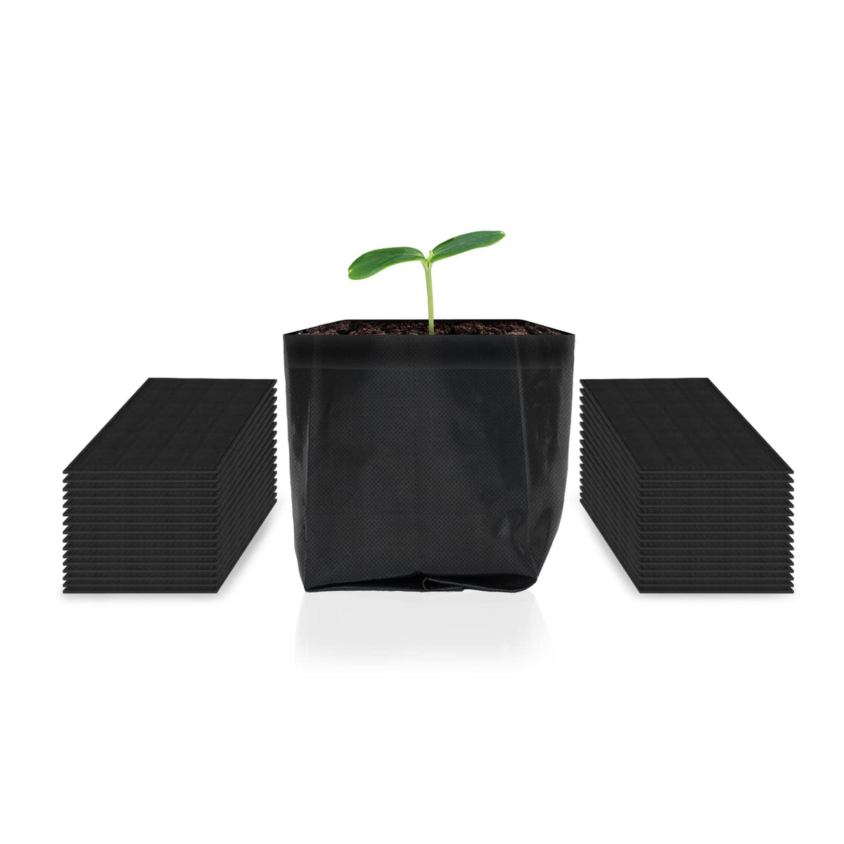 AC Infinity nursery bags seed starting in a tray with healthy sprouts