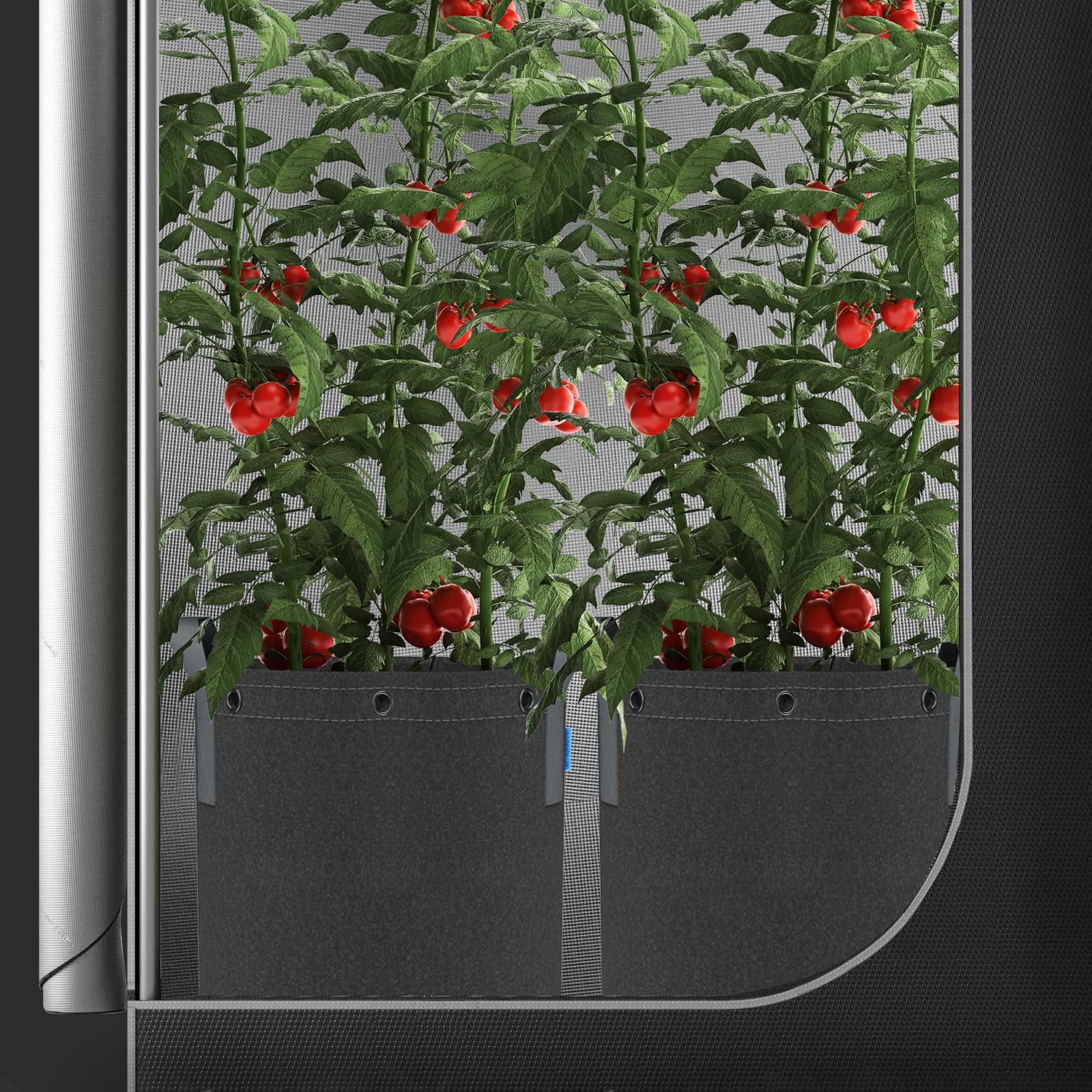 AC Infinity reusable grow bag set ideal for low-stress plant training.