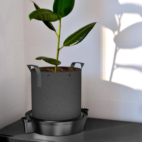 AC Infinity self-watering base XL setup in a grow space shows versatile use.