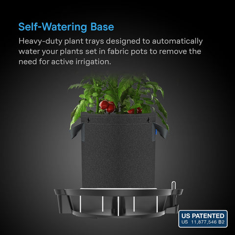 AC Infinity self-watering base XL pot placement demonstrates elevated design for drainage.