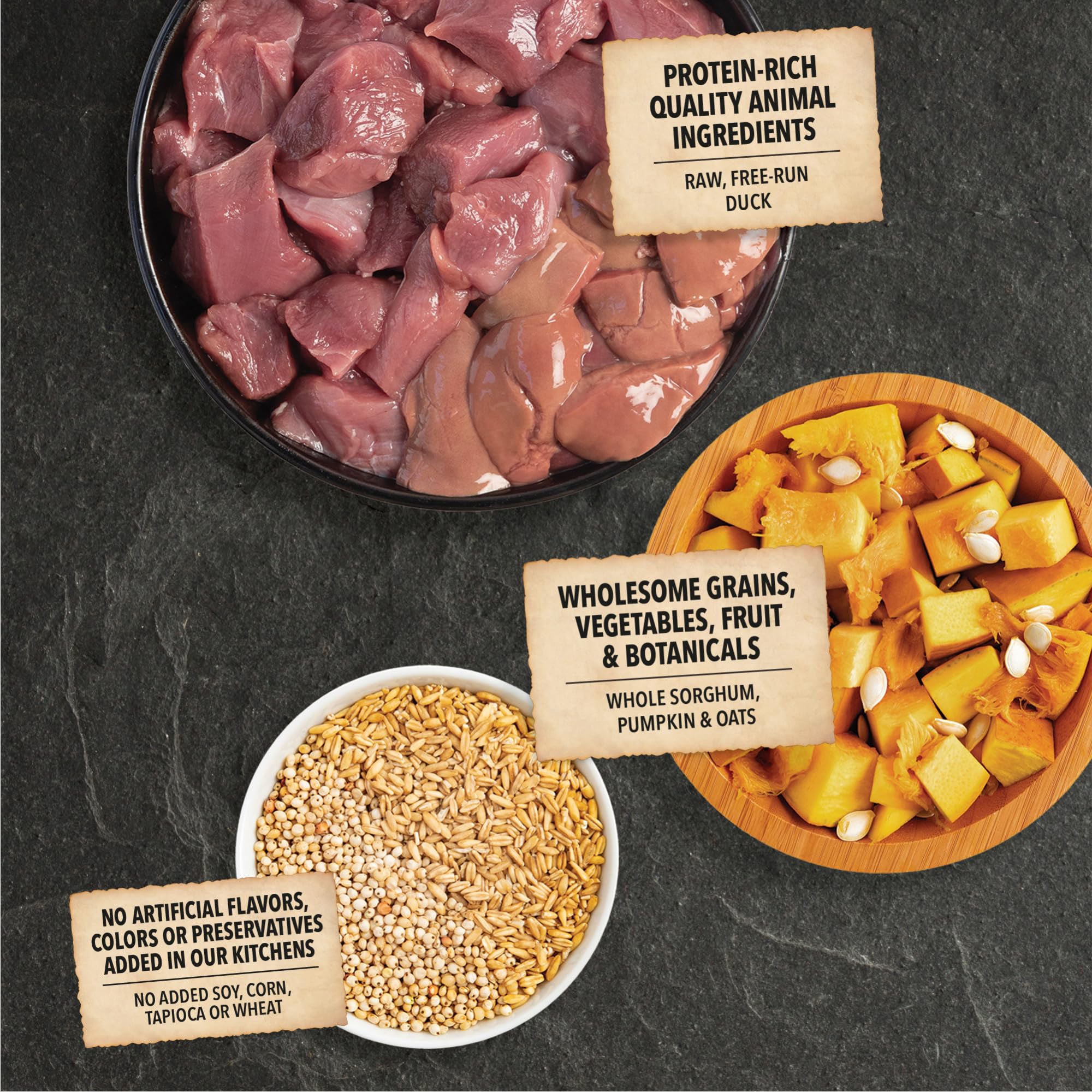 Duck ingredient close-up – protein-rich meat in ACANA formula