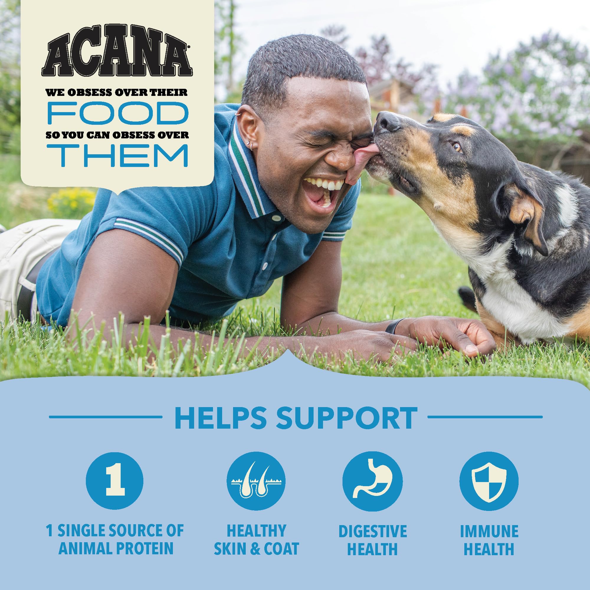 Kibble in dog bowl showing ACANA texture for meals