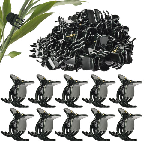AccEncyc large plant clips securely support orchid spikes for upright growth.