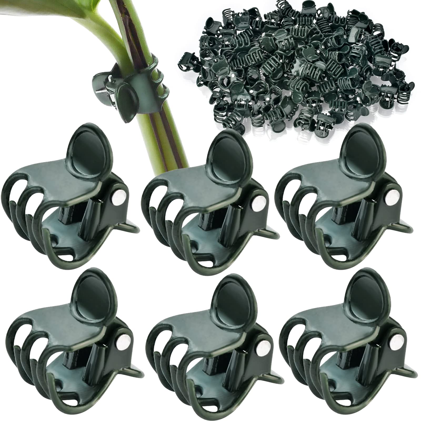 AccEncyc plant clips 2x15mm closeup securing small stems for upright growth