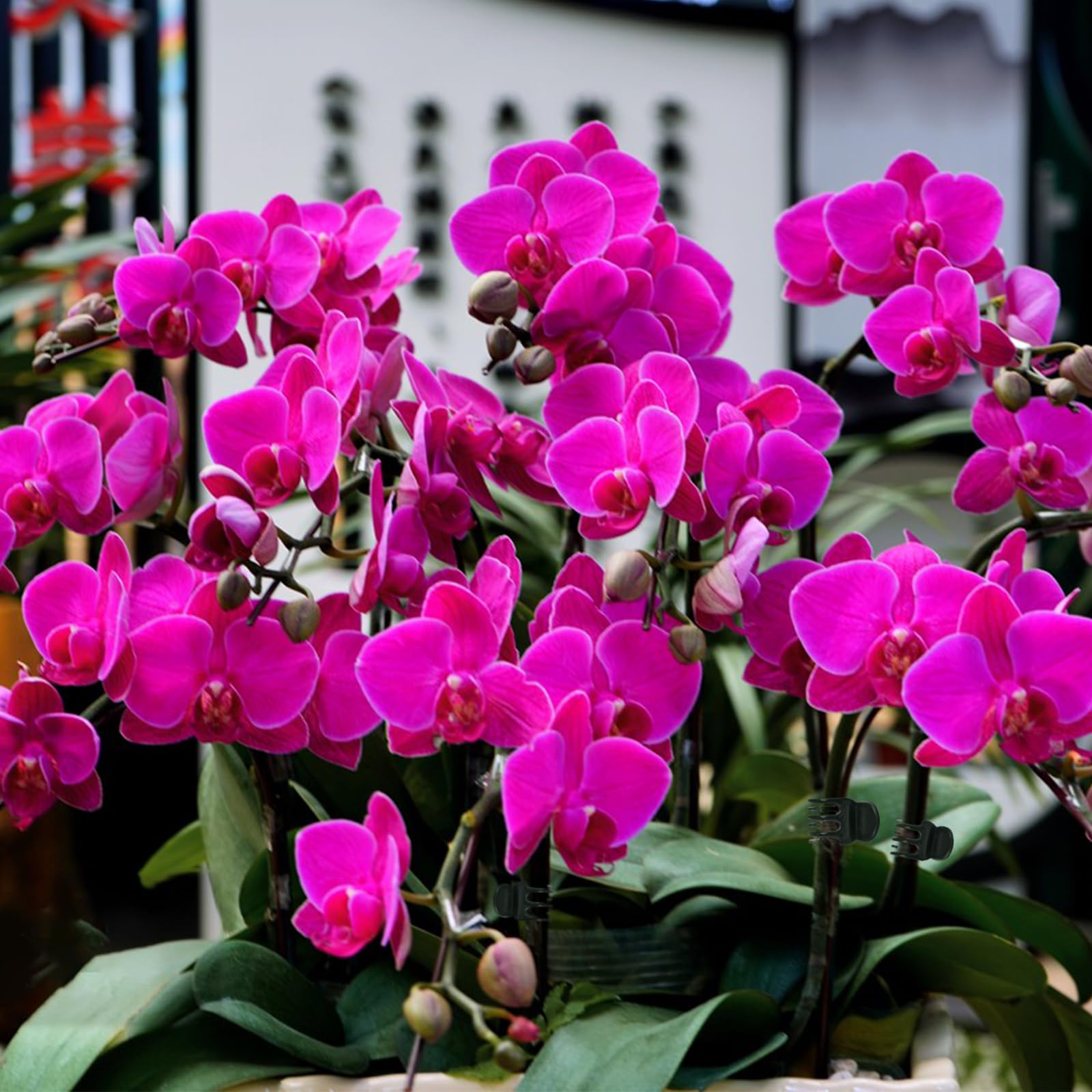 AccEncyc sturdy clip protects stems during outdoor winds and rain.