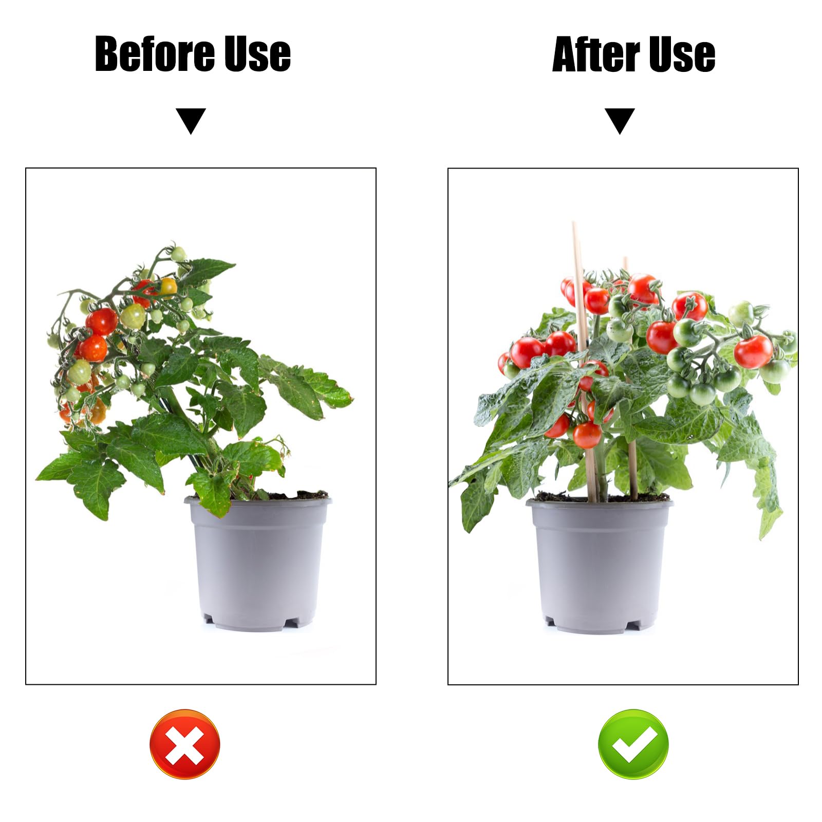 AccEncyc trellis clip stabilizes plants on stakes without damage.