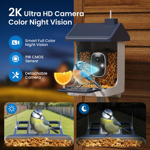 ACCULENZ 2K night vision view showcasing clear dusk footage