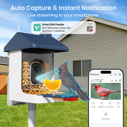 ACCULENZ AI identification display close-up with species recognition capability
