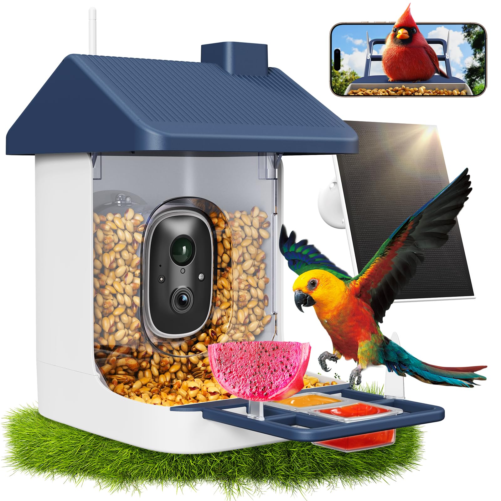 ACCULENZ smart bird feeder camera front view for real-time bird watching