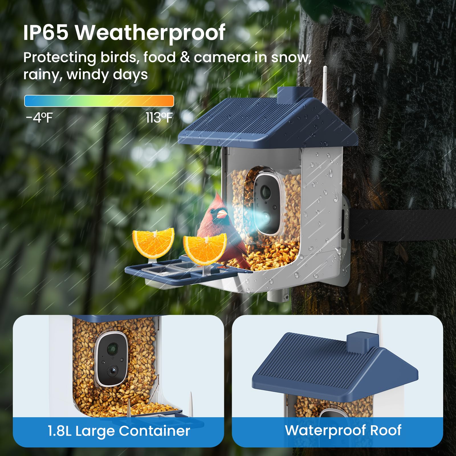 ACCULENZ squirrel-proof detection alert monitoring bird visits