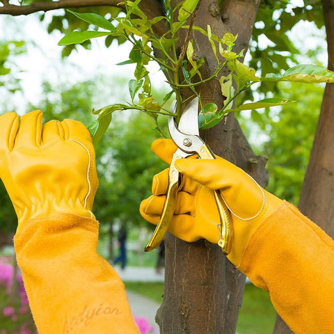 Acdyion thorn-proof gloves reinforced palm and fingertips for durability.