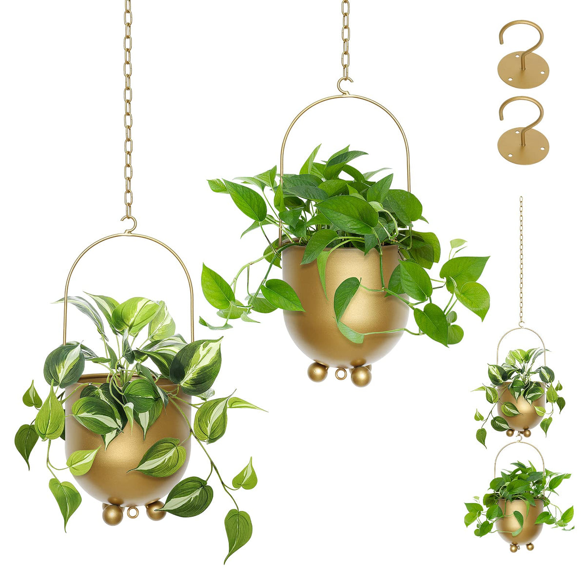 AceList Boho Gold hanging planter setup with dual chains for stylish wall display