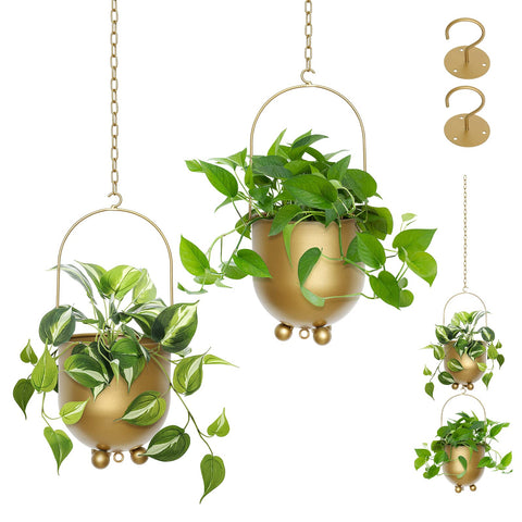 AceList Boho Gold hanging planter setup with dual chains for stylish wall display