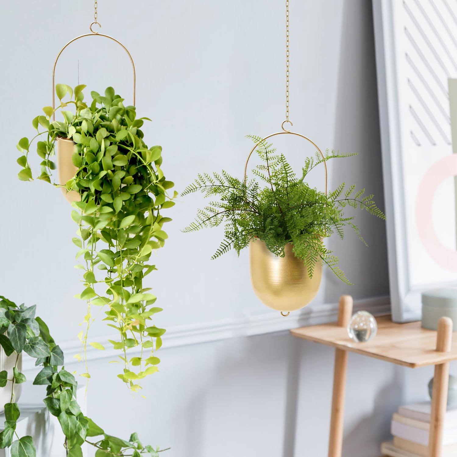 Gift-ready AceList set for plant lovers and home decorators.