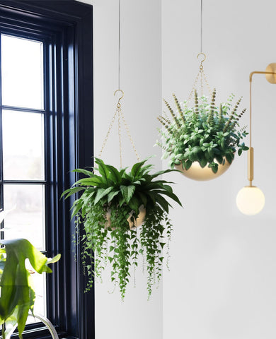 AceList indoor living room setup with gold hanging planter for lush greenery.