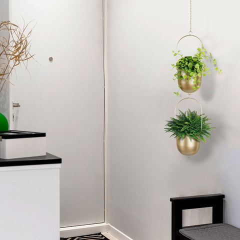 Indoor-outdoor decor idea featuring AceList gold planters.