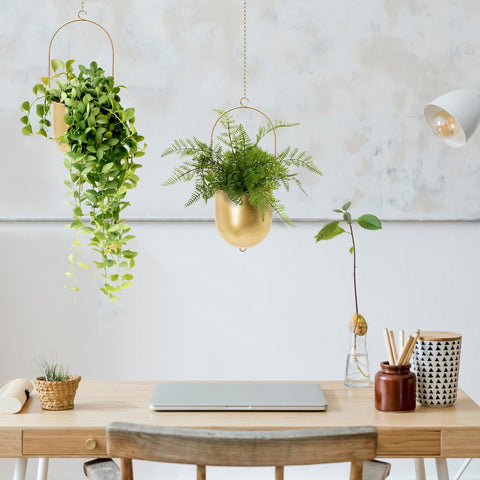 Wall and ceiling mounting options with AceList planters.