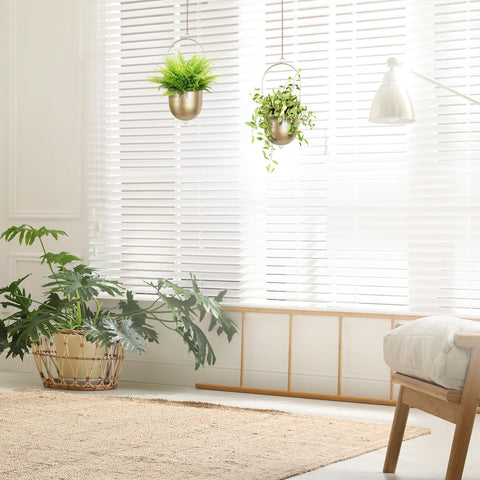 AceList planter displayed by window for bright natural light.