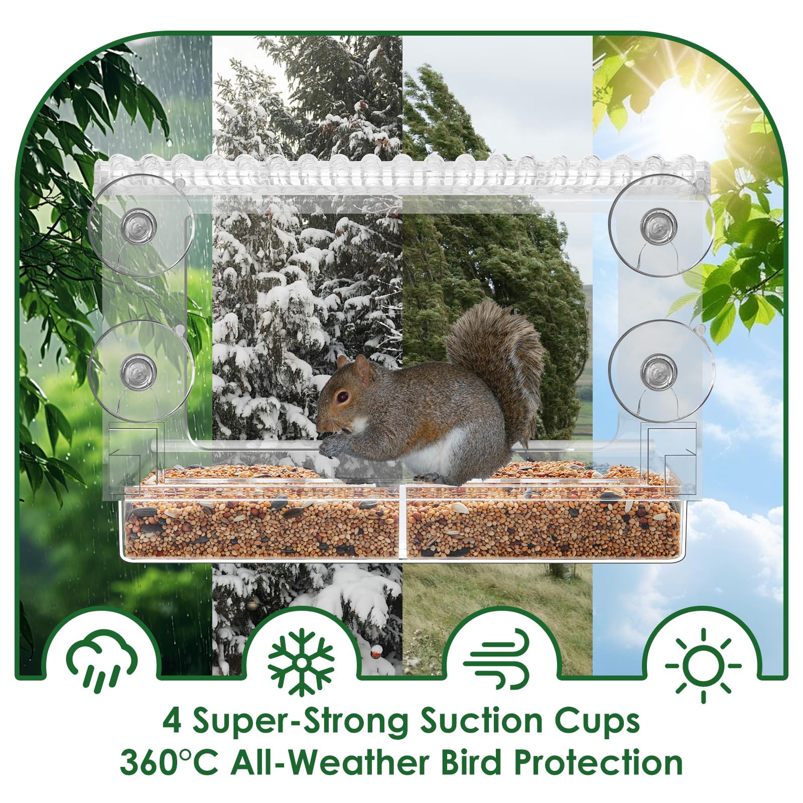 ACEROMT window feeder attracting diverse birds like finches and robins