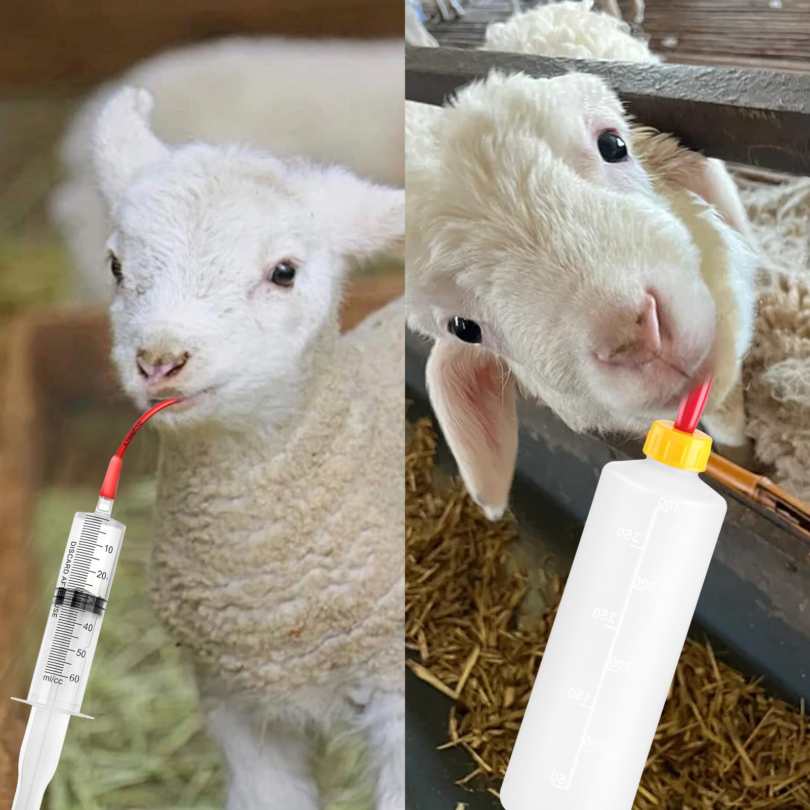 Achicklead feeding tube kit 16fr and 60ml syringe supports precise tube feeding