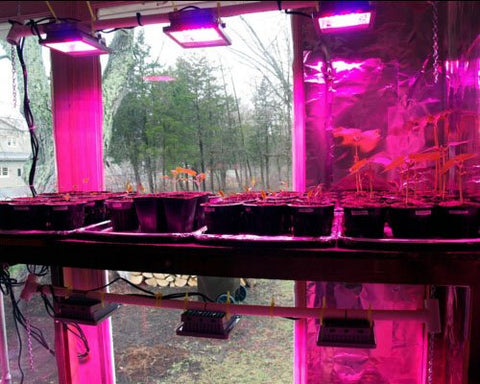 ACKE grow light box includes user manual for easy installation.
