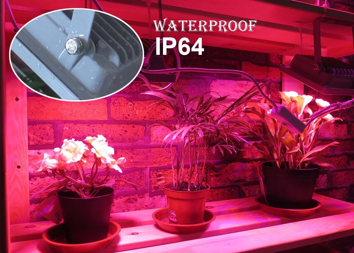 ACKE grow light ideal for seedlings in compact spaces.