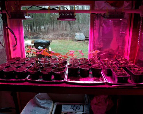 ACKE spectrum 420-500nm blue range supports photosynthesis.