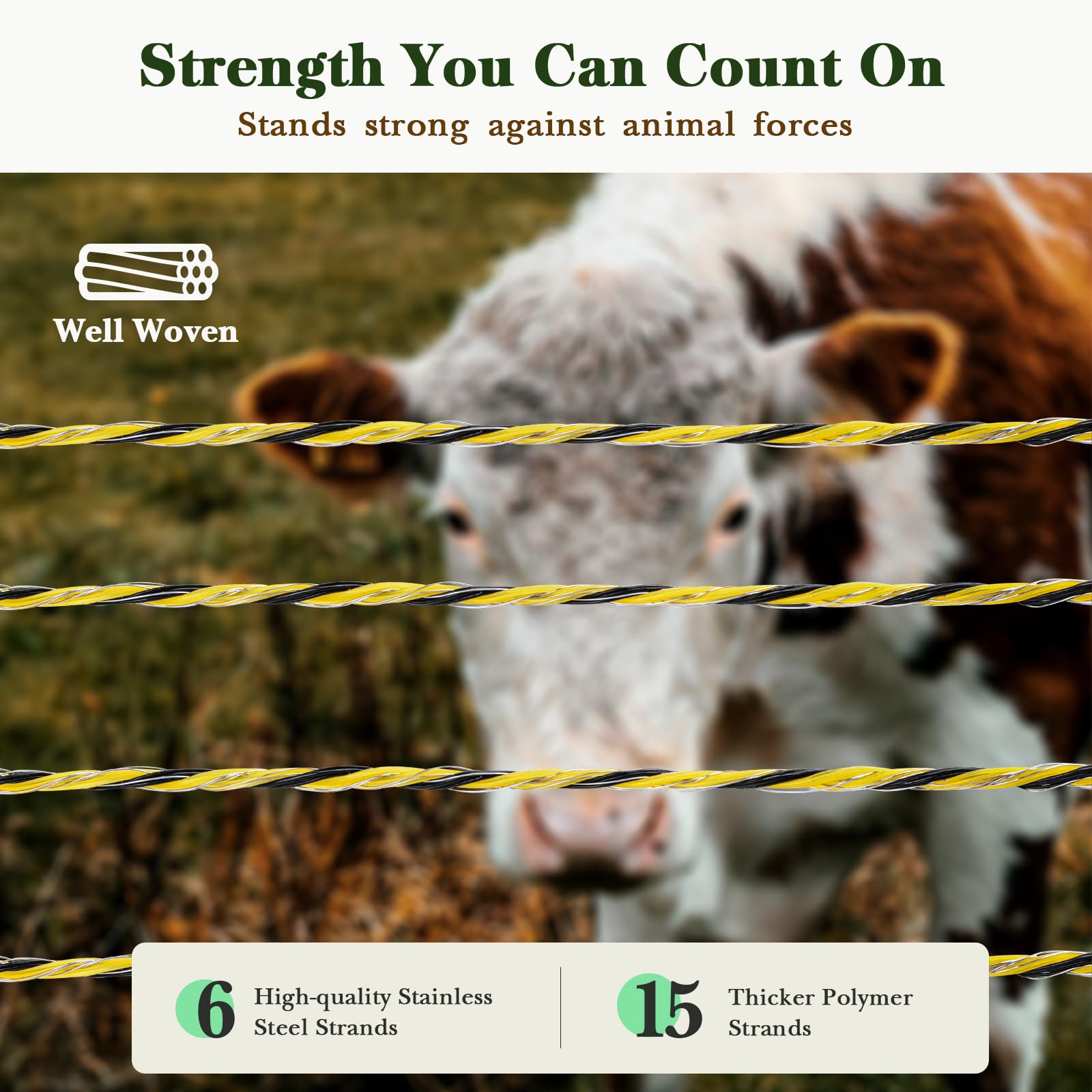 Close-up of 6 stainless steel conductors delivering reliable current with low resistance.