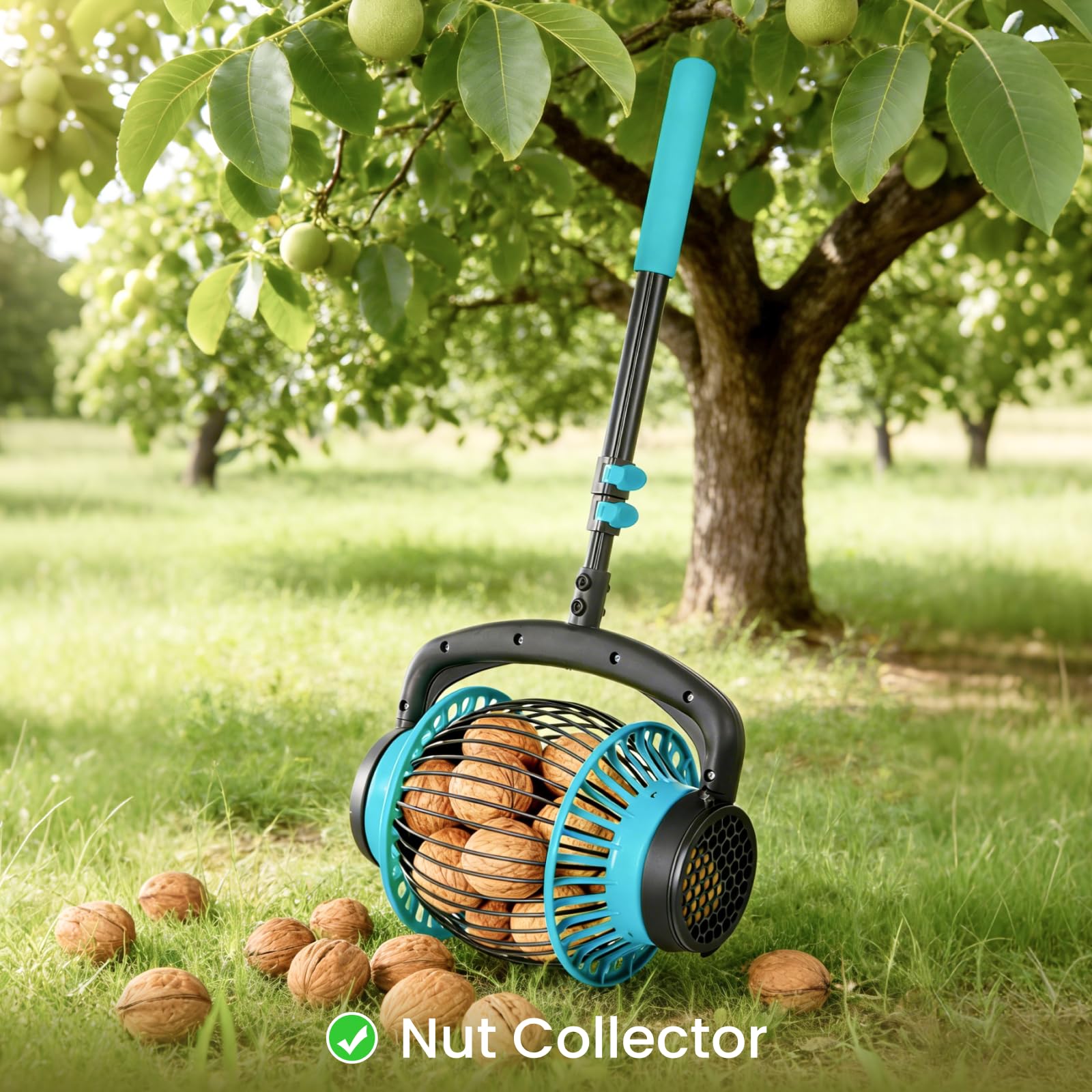 Acorn Picker Upper Roller allows stand-up cleanup, reducing bending and effort.