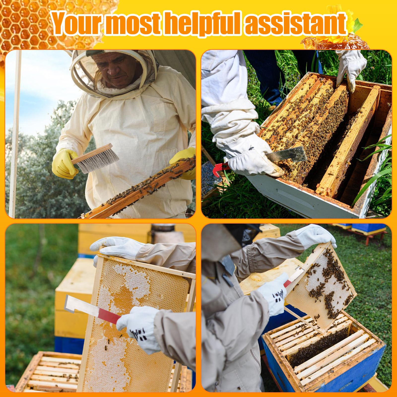Acostop beekeeping action with tools ready for hive inspection and cleaning.