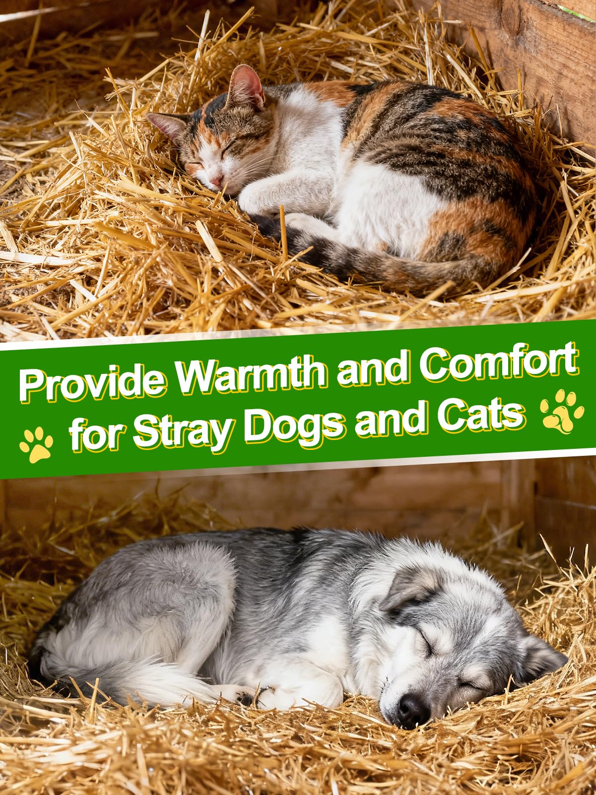 Acostop wheat straw bedding in a chicken coop area for odor-free comfort