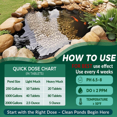 ActiClear Muck Clear used in a birdbath promotes balanced water.
