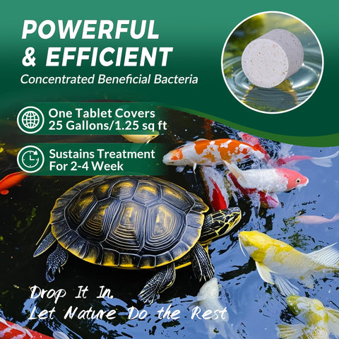ActiClear Muck Clear tablet setup in pond with fountain and birdbath