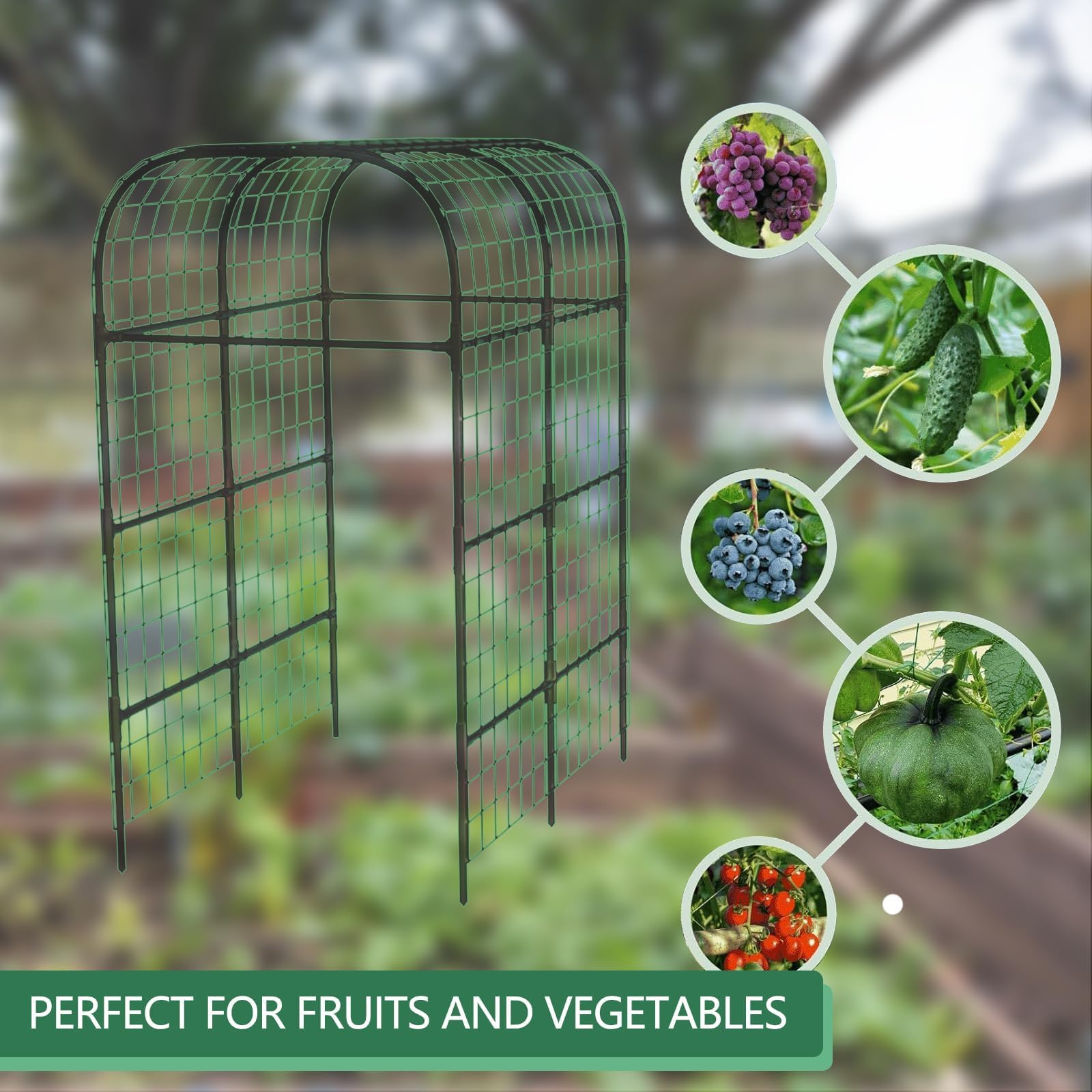 ActiveTrail beans and peas train on the trellis for tidy garden organization