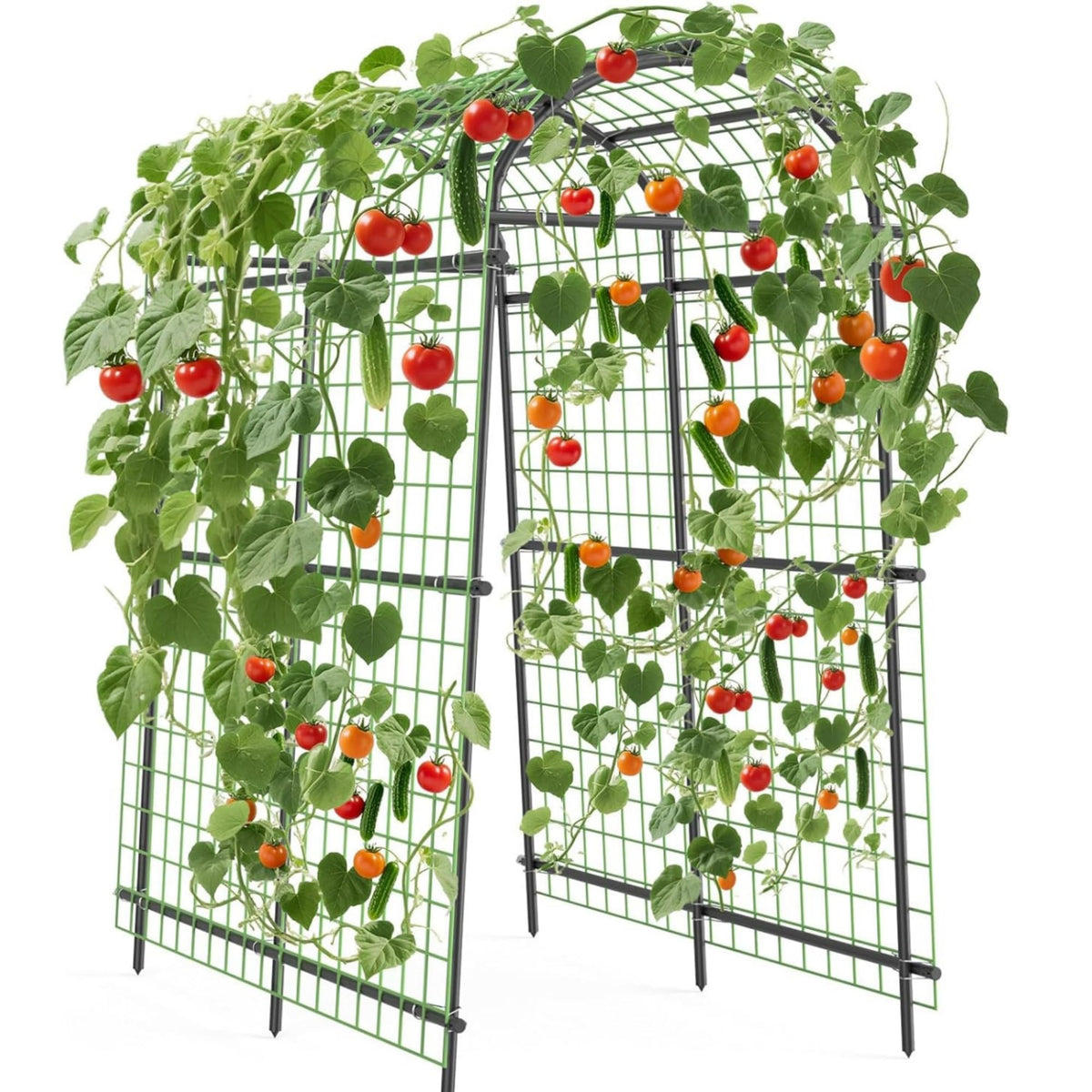 ActiveTrail garden arch trellis in full height supports climbing plants