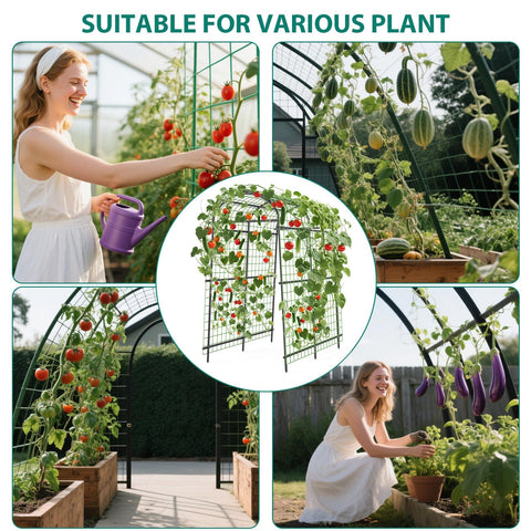 ActiveTrail garden arch trellis with black finish in a garden setting