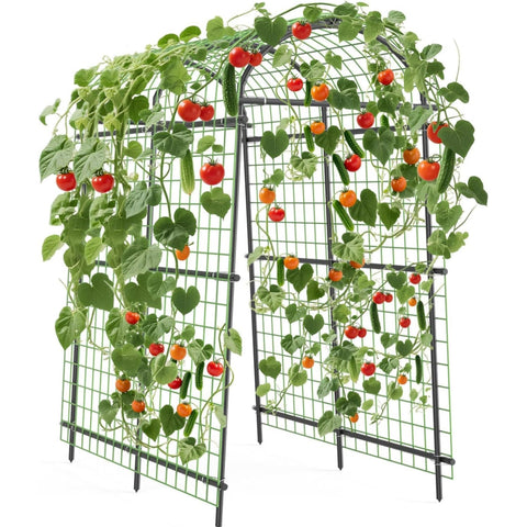 ActiveTrail Garden Arch Trellis side view showing sturdy stainless frame for year-round climbers