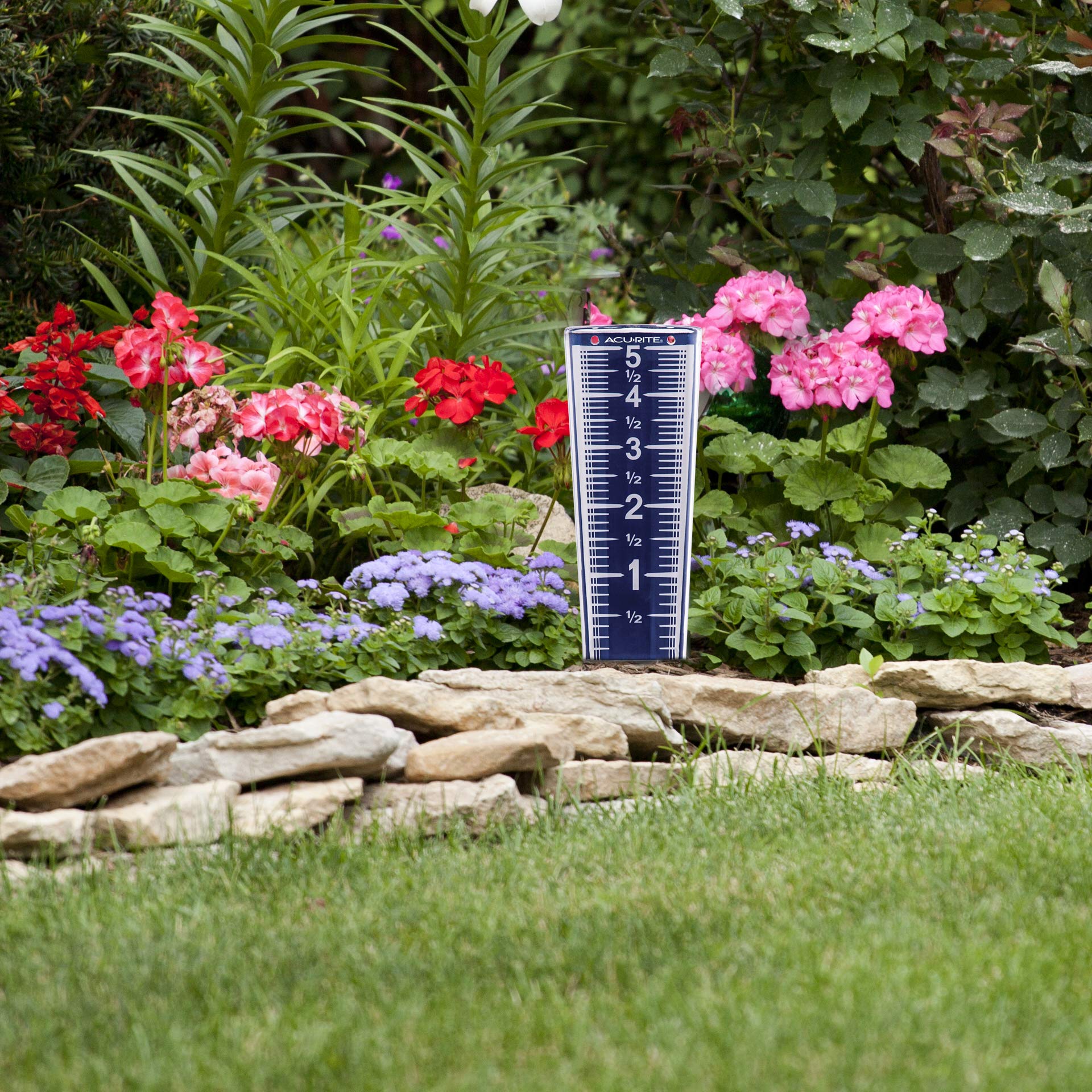 AcuRite rain gauge mounted on the ground with stake for stable outdoor use.