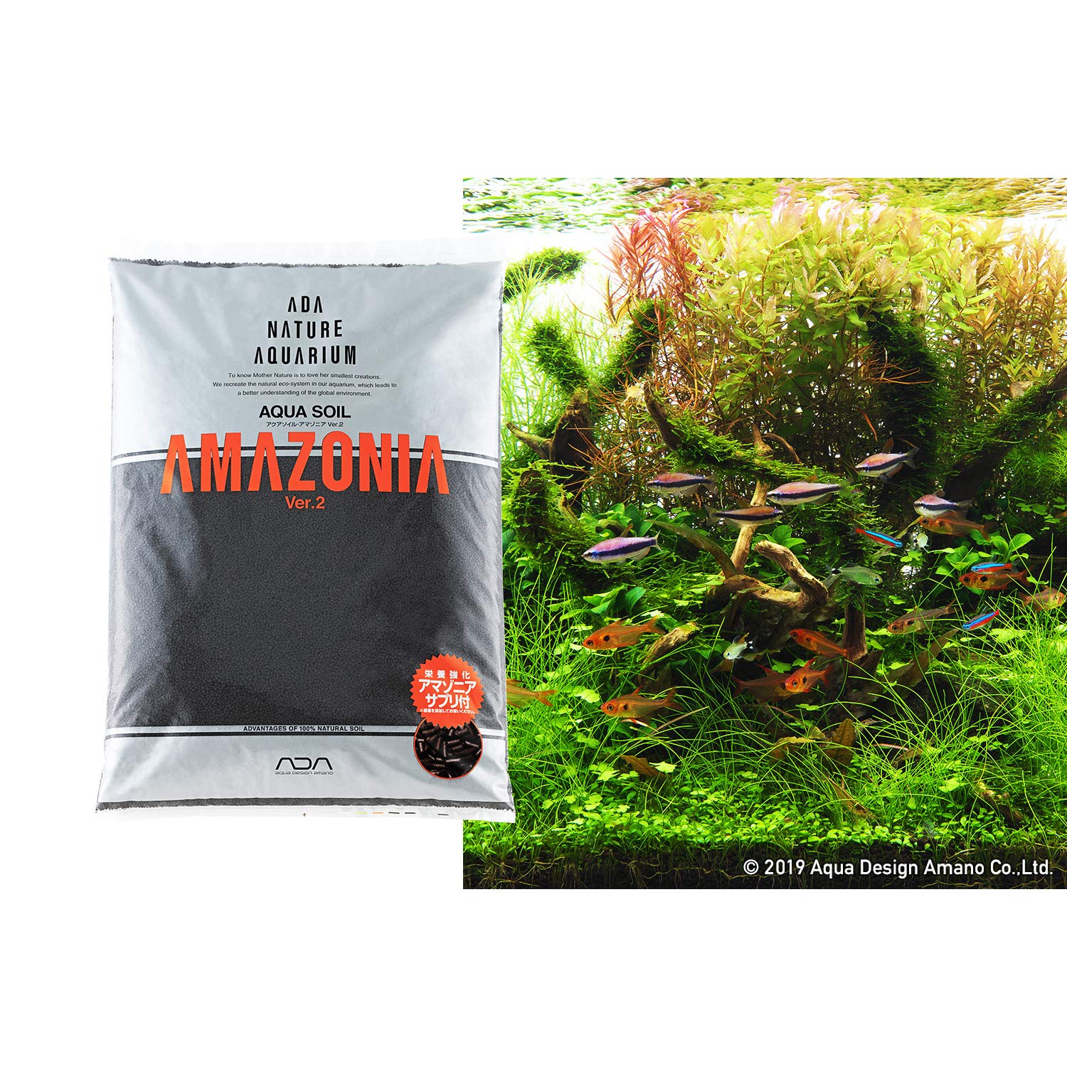 ADA Aqua Soil supports healthy root growth and clear water in nature aquariums.