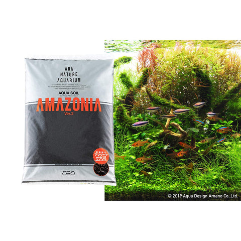 ADA Aqua Soil supports healthy root growth and clear water in nature aquariums.